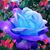 Brenda Schwanke Hathaway's profile image