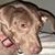 Cherri Hansford's profile image