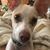 Stephanie D Crespi's profile image