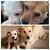 Tracy Garland's profile image