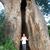 Glenda Smith Toppe's profile image