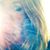 Donna Marie's profile image