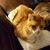 Carla Milner Volz's profile image