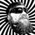 Nick Price's profile image