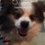 Brandy Vu's profile image