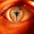 Gayle Godard Robertson's profile image