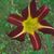 Janet Lyman's profile image