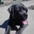 Jeanine Jackson's profile image