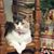Janice Redding Rich's profile image