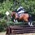 PondaLucea Stables's profile image
