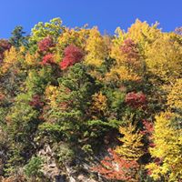 Diane King's profile image