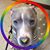 Tiona-Veela M. Foster's profile image
