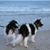 Dianne Rogers's profile image
