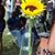 Zarifa Muhammad El's profile image
