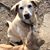Mary Knipfing Rinke's profile image