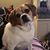 Amy Blanchard's profile image