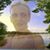Sanja Ivanovic-Golubovic's profile image