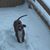 Brent Wilford's profile image