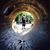 Dinorah Hernandez Miguel's profile image