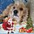 Sandra Moulder Grear's profile image