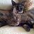 Delmore Linda's profile image