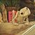Michelle Young's profile image