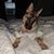 Melissa Hesselgesser's profile image