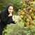 Maryam Keymanesh's profile image