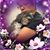 Jorge Sandoval's profile image