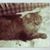 James Hoffa's profile image
