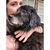 Lauren Bolen's profile image