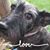 Erica Bennett Waterman's profile image