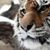 Margaux Deveau's profile image