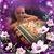 Teresa Braddam's profile image