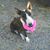 Arie Deller's profile image