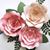 Asmaa Jebril's profile image