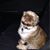 Rakesh Mahadeo's profile image