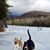 Stacey Huckins's profile image