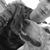 Tegan Gilchrist's profile image