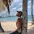 Freddy Florez Florez's profile image