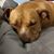 Dawn Henderson Peters's profile image