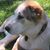 Barbara Inman's profile image