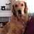 Patsy Ross's profile image