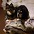 Hazel Holmes's profile image
