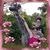 Melissa Deming Besse's profile image