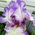 Mary Lynn's profile image