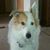 Mary Wachowicz's profile image