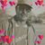 Dayla Mendoza's profile image