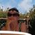 Marie Beasley Knoll's profile image