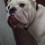 Gersan Salas Gonsalez's profile image
